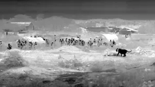 Věk kočkovitých šelem (2/3)