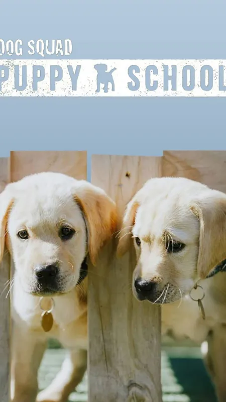Psia hliadka: V zácviku (Puppy School II), 2021 - fotogaléria