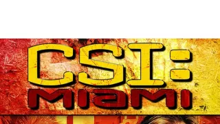 Kriminálka Miami X (18)