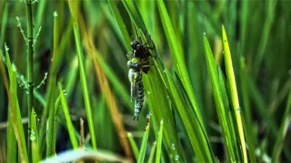 Jizerské hory - príbeh jedinečnej krajiny (2/2)