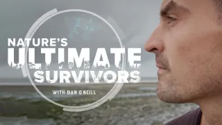 Nejdokonalejší tvorové v umění přežít (1/5)