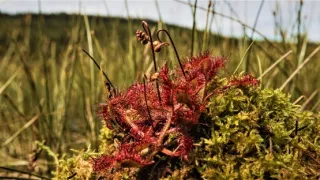 Jizerské hory - příběh jedinečné krajiny (1/2)