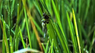 Jizerské hory - příběh jedinečné krajiny (1/2)