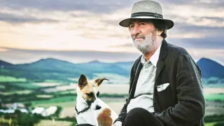 Gump - pes, který naučil lidi žít