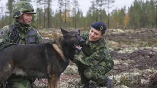 Rok so švédskou kráľovskou rodinou