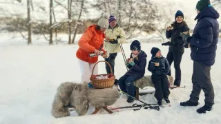 Rok so švédskou kráľovskou rodinou