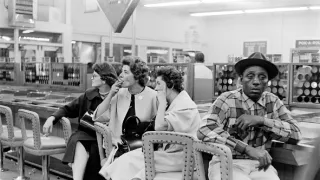 Jim Marshall, fotograf hudebních hvězd