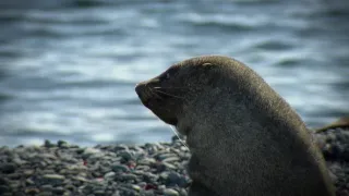 Fascinujúce stretnutia so zvieratami