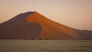 Fascinujúce stretnutia so zvieratami