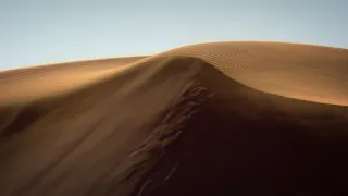 Fascinujúce stretnutia so zvieratami