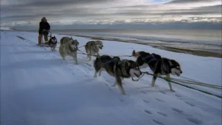 Fascinujúce stretnutia so zvieratami