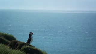 Fascinujúce stretnutia so zvieratami