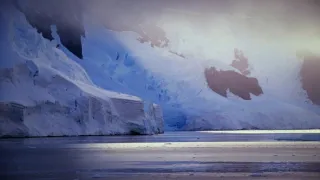 Fascinujúce stretnutia so zvieratami