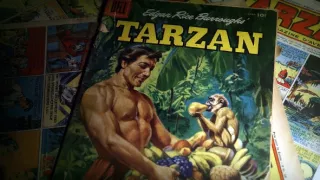 Tarzan: volání džungle