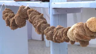 Na cestě po Kalymnosu
