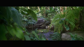 Tarzan: volání džungle