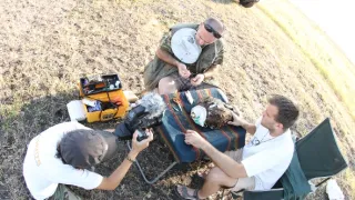 Divoké zločiny (1)