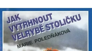 Jak vytrhnout velrybě stoličku