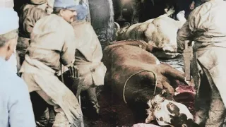 Apokalypsa Verdun (2/2)