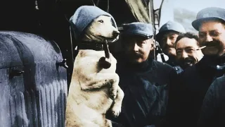 Apokalypsa Verdun (2/2)