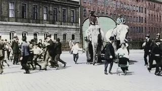 Apokalypsa Verdun (2/2)