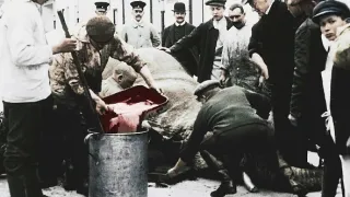 Apokalypsa Verdun (2/2)