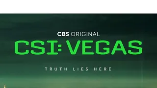 Kriminálka Vegas (8)