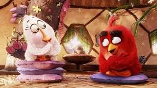 Angry Birds vo filme