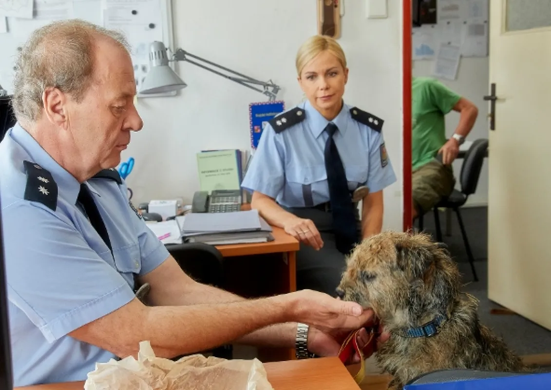 Policie Modrava, 2019 - fotogaléria