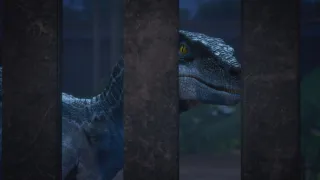Jurassic World: Krétakori tábor (8)