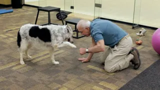 Psi a my: Tajemství jednoho přátelství