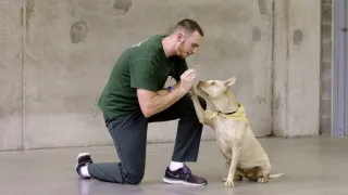 Psi a my: Tajemství jednoho přátelství