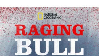 Žralok bělavý útočí