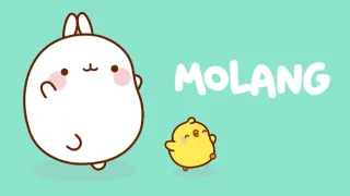 Molang VI (31)
