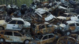 Válka na Ukrajině: První měsíc