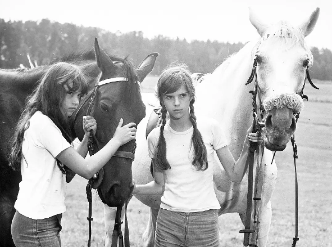 Jak se točí Rozmarýny, 1977 - fotogaléria
