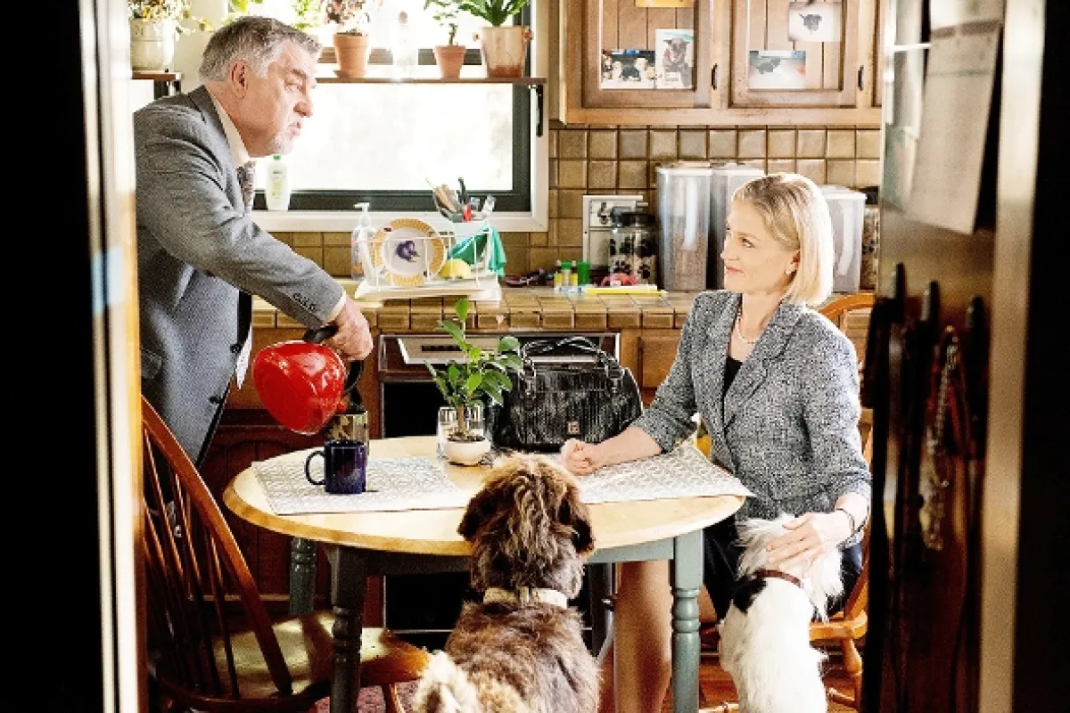 Bostonské vraždy (Rizzoli & Isles IV), 2013 - fotogaléria