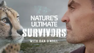 Nejdokonalejší tvorové v umění přežít (2/5)