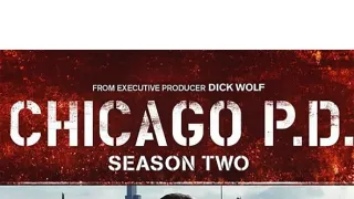 Polícia Chicago II (11)