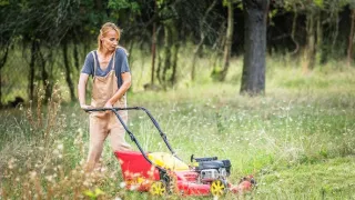 Vraždy v kraji (1)