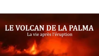La Palma: Láva a život