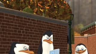 Tučňáci z Madagaskaru II (36/39)