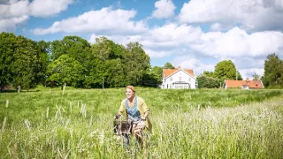 Inga Lindström: S Lilli si nezahrávej