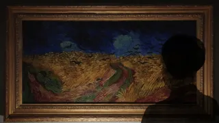 Dva měsíce k věčnosti: Jak se stal Vincent van Gogh slavným