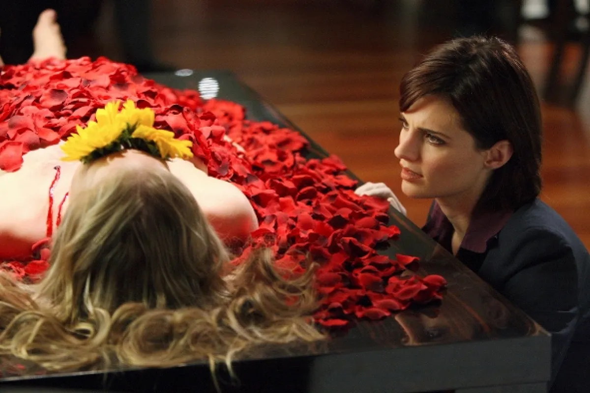 Vtierka Castle (Castle I. HD - Flowers for Your Grave), 2009 - fotogaléria
