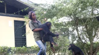 Útulek pro záchranu šimpanzů Jane Goodallové (1/6)