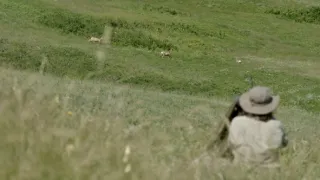 Zvuky prírody (3/3)