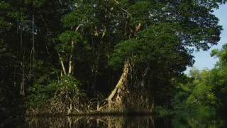 Kořeny života (2/3)