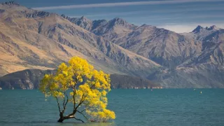 Nový Zéland - Jižní ostrov