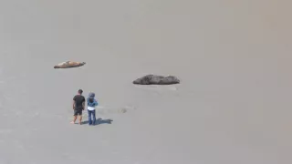 Nový Zéland - Jižní ostrov